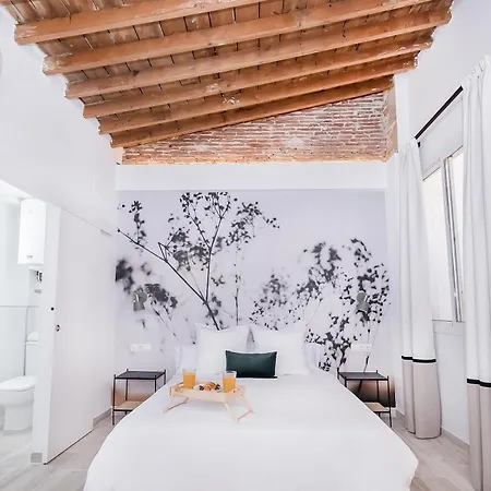 Apartament Exclusive Comedia Malaga