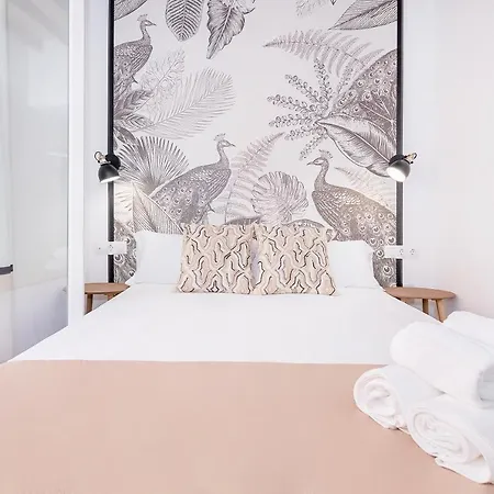 Exclusive Comedia Daire *